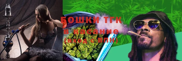гашик Заволжск